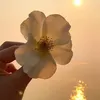 nejla.hmi2