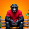 RoboChimp Vlogss