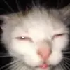 pinkaaa50