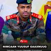bulshaawiyare02
