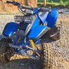 robins350warrior