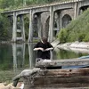 andrew_likha