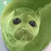 alena_53903