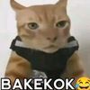 forgotmynameeeeeeel