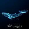 user52982996516142