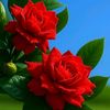 user4304462561321