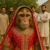 ⱽⁱʳᵃˡ ᴹᵒⁿᵏᵉʸ ᵛˡᵒᵍˢ 🐒🙊