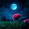 itxrizwan58