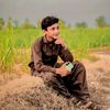 qasim.abbas4635