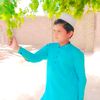malik.umir.naich.7