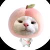 liaasuka_iccreem