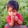 ali.muhammad08363
