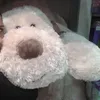 sssilvamariaed