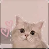 vui.phm.th20