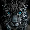 tanha.xom6
