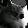 momo.com77