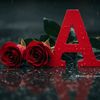 amyr0045