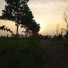 rizki_21_2009
