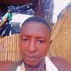 kindo.tassere5