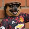 jimoh_001