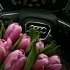 jade_________4