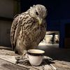 salem.alahbabi8