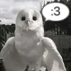vwbqkk