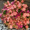 mss__flower🥀🕊