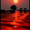 ahmet.aln52