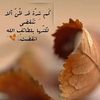 1234567890فايز منهل