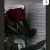 nasreen.salah41