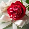 .abadall87