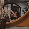 ptrdnov_
