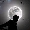 mohammad.mahdi.ya1