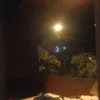 wtf05811