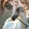 saif.asaad52