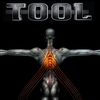 Tool salival