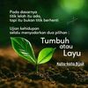 jokotulus465