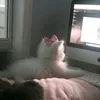 rr_onnn