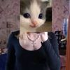 sschulyu11go