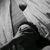 wilfri_68_way_srt