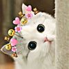 mimimochiiiiiiiiiiii