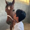 al3jmii.6