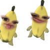 putsjabjirr._
