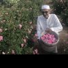 ahmedvibes14