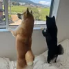 ちゃっ