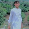 motasim063
