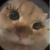 urfavsysy0