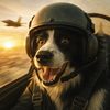 cuteanimals.67