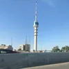 ayaomlooo0742